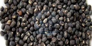 Urad Dal