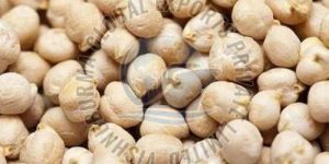 Kabuli Chickpeas