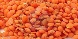 Red Masoor Dal