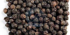 Black Pepper