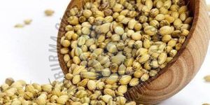 Coriander Seeds