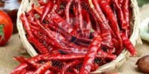 Dry Red Chilli