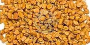 Fenugreek Seeds