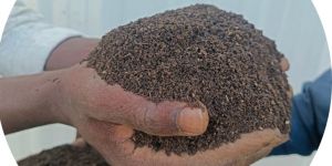 Vermicompost Fertilizer