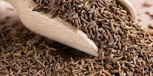 Cumin Seeds