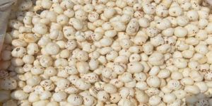 Raw Mix Phool Makhana