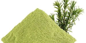 Rosemary Extract Powder