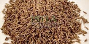 Cumin Seed Jeera
