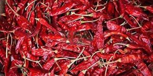 Dry Red Chilli