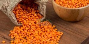 Masoor Dal / Mysore Paruppu