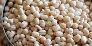 White Urad Dal / Vellai Ulunthu