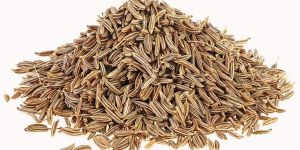 Cumin Seeds