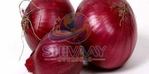 Fresh Red Onion