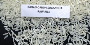 Sugandha Raw Rice