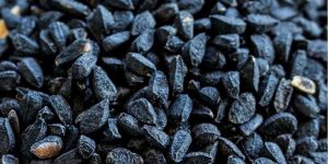 Black Cumin Seeds