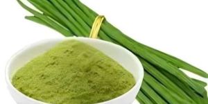 Dehydrated Drumstick Powder