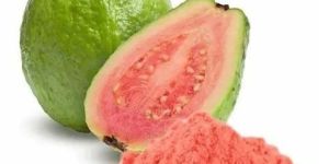 Dehydrated Guava Powder