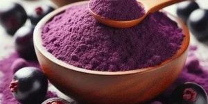 Dehydrated Jamun Powder