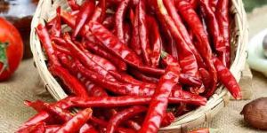 Dried Red Chilli