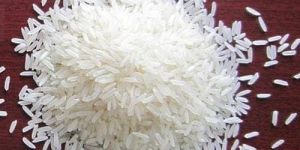 Sortex Clean IR64 Non Basmati Rice