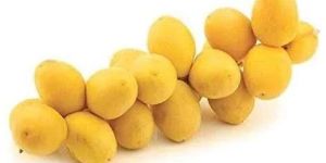 Fresh Yellow Dates