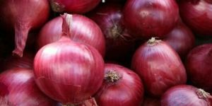 Fresh Red Onion