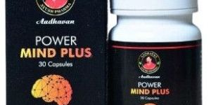 Ayurvedic Brain Booster Power Mind Plus Capsules