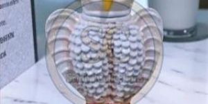 Terracotta Clay Handmade Owl Statue