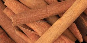 Cinnamon Surul Pattai