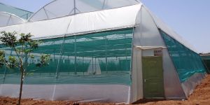 Naturally Ventilated Poly House