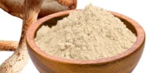 Dry Oyster Mushroom Powder