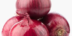 Fresh Red Onion