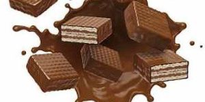 Chocolate Coated Wafer