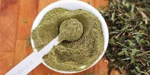 Dry Tulsi Powder
