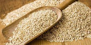 Natural Sesame Seed