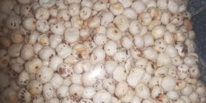 Makhana