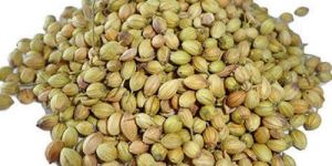 Coriander Seeds