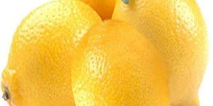Farm Fresh Juicy Yellow Lemon