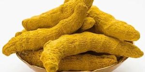 Lakadong Turmeric Finger