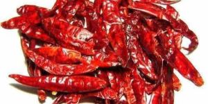 Dried Red Chilli