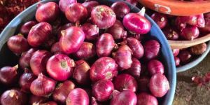 Red Onion