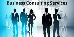 Business Consulting Service