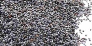 Black Poppy Seeds