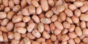 Raw Peanut Kernel
