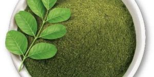Moringa Leaves Powder