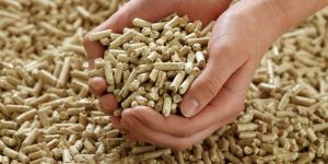 Biomass Wood Pellets