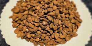Kashmiri Mamra Almond Nuts