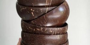 Coconut Shell Bowl