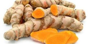 Natural Raw Turmeric Finger