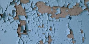 Water Proofing Contractors